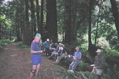 hikers seated on a log under redwoods