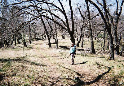Joy Desai on the trail