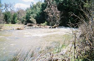 The same creek further downstream, near Poverty Flat