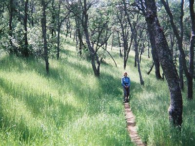 Joy Desai on a trail