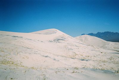 bleak sand dunes