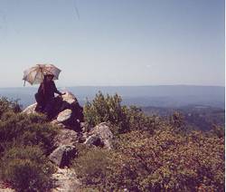 Joy, with umbrella, on a more scenic part of Loma Prieta's summit