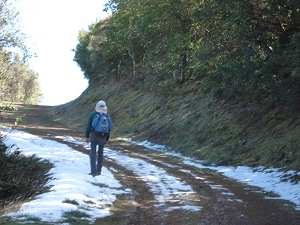 Dinesh walking along a road through patches of snow