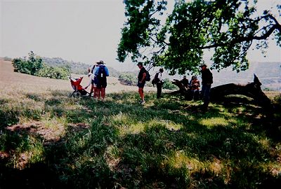 hikers resting in the shade of an oak tree
