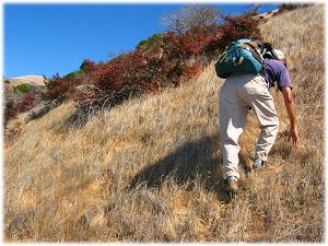 Dinesh climbing a steep, trailless slope