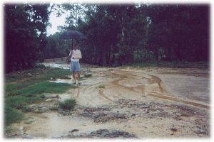 photo showing no standing water after heavy rain