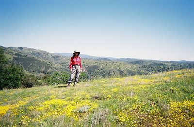 Joy amidst wildflowers along Vasquez Road