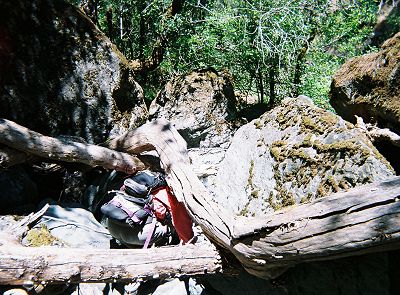 Joy squeezing through a tangle of rocks and logs