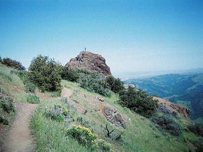 A view from Mary Bowerman Trail