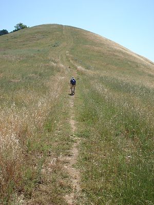 Dinesh walking toward a hilltop