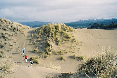 Three hikers climbing a dune