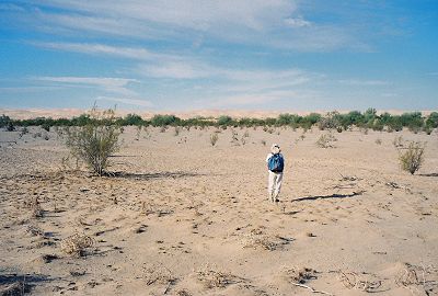walking across an expanse of low dunes