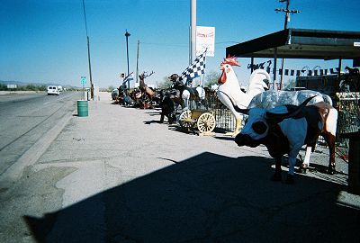 curio shop with large animal reproductions