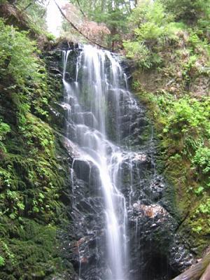 Berry Creek Falls, a mixed cascade and series of short falls