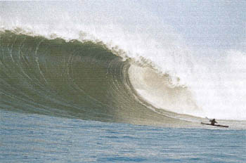 A really large wave (but not one on the Salton Sea ... Dinesh shows it here as a joke)